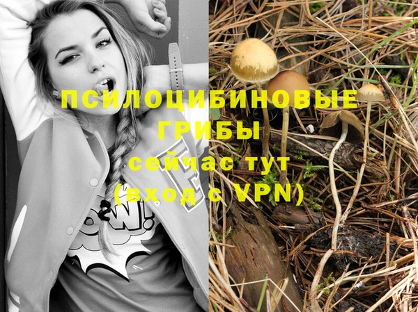 каннабис Алексеевка