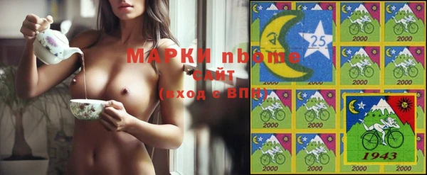 индика Дмитровск
