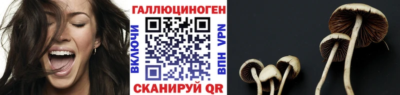 Псилоцибиновые грибы мухоморы дарнет шоп Темрюк